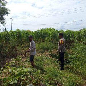 Peran Aktif Polisi Desa Sekotong Barat Dorong Produktivitas Petani