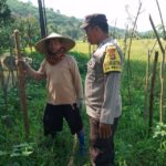 Ketahanan Pangan Dimulai dari Pekarangan: Inisiatif Polri di Taman Ayu