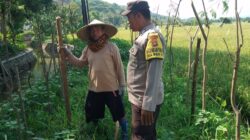 Ketahanan Pangan Dimulai dari Pekarangan: Inisiatif Polri di Taman Ayu