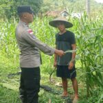 Optimalisasi Lahan Warga, Bhabinkamtibmas di Sekotong Dorong Swasembada