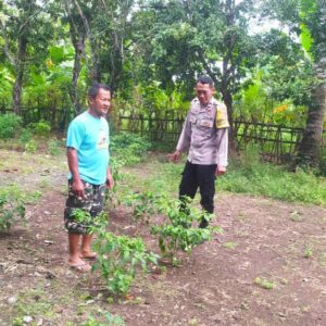 DDS Bhabinkamtibmas Batu Putih: Edukasi Pekarangan Tangguh Pangan
