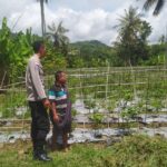 Sinergi Polri dan Petani di Batu Putih Dorong Ketahanan Pangan