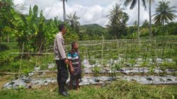 Sinergi Polri dan Petani di Batu Putih Dorong Ketahanan Pangan