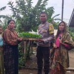Wujud Kepedulian Polri: Bibit Cabai untuk Warga Dusun Guli, Lembar