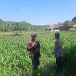 Polri Kawal Ketahanan Pangan di Dusun Jelateng, Lembar