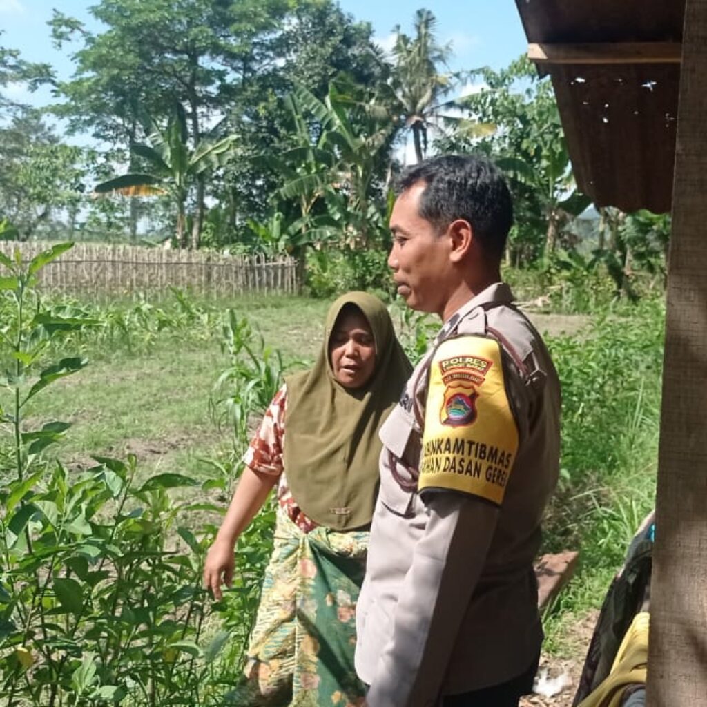 Gerakan Pekarangan Bergizi Mulai Diterapkan di Dasan Geres