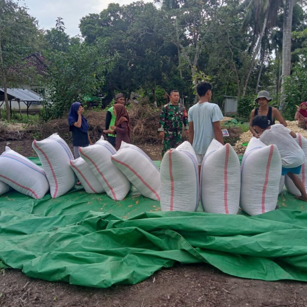 Petani Jagung Keluhkan Harga, Babinsa Serap Aspirasi