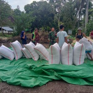 Petani Jagung Keluhkan Harga, Babinsa Serap Aspirasi