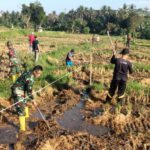 Sinergi TNI-Rakyat Bangun Jalan Pertanian di Labuapi