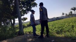 Bhabinkamtibmas Kuripan Dorong Budidaya Cabai di Pekarangan
