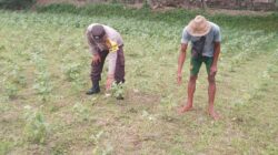 Ketahanan Pangan Lokal, Inisiatif Bhabinkamtibmas di Lombok Barat