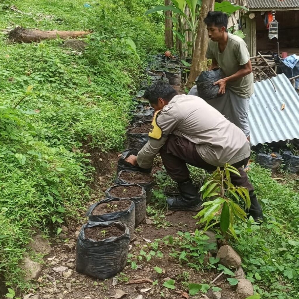 Ketahanan Pangan di Batulayar: Peran Strategis Pekarangan Bergizi dan Bhabinkamtibmas