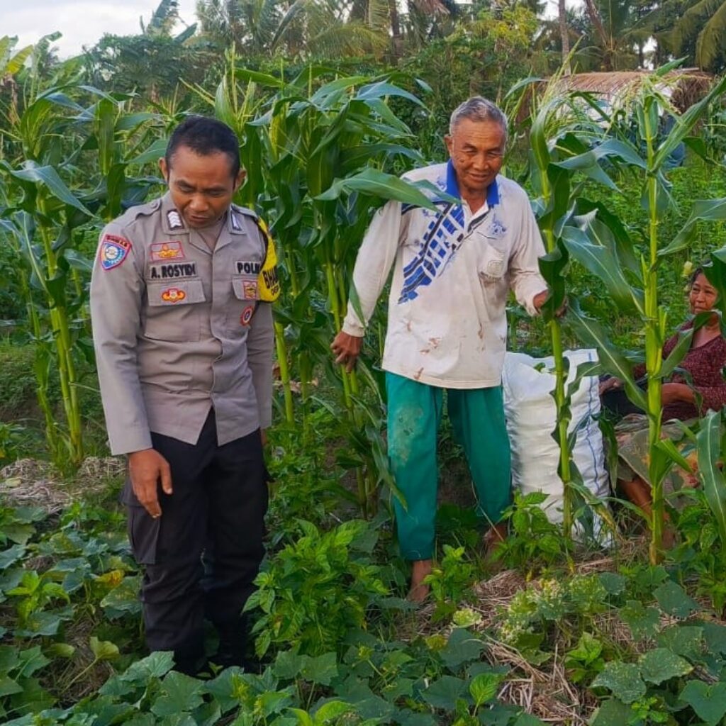 Motivasi Petani Kuripan, Polri Dorong Ketahanan Pangan dari Tingkat Desa