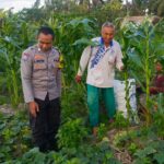 Sinergi Polri dan Petani Dusun Grepek Perkuat Program Ketahanan Pangan Nasional