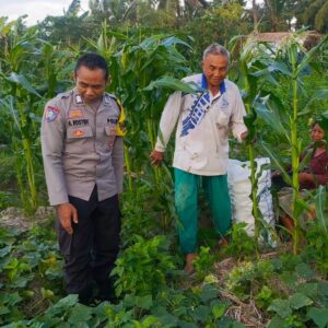 Sinergi Polri dan Petani Dusun Grepek Perkuat Program Ketahanan Pangan Nasional