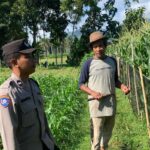 Sinergi Polri-Petani Dorong Swasembada Pangan di Lombok Barat