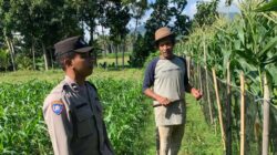 Sinergi Polri-Petani Dorong Swasembada Pangan di Lombok Barat