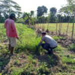 Sinergi Polri dan Petani Dusun Aik Senin dalam Wujudkan Ketahanan Pangan