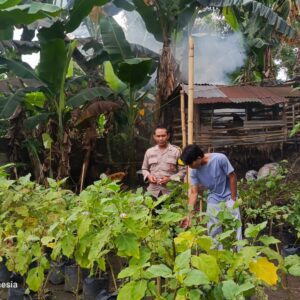Sinergi Bhabinkamtibmas dan Pemuda di Kuripan Utara untuk Pangan