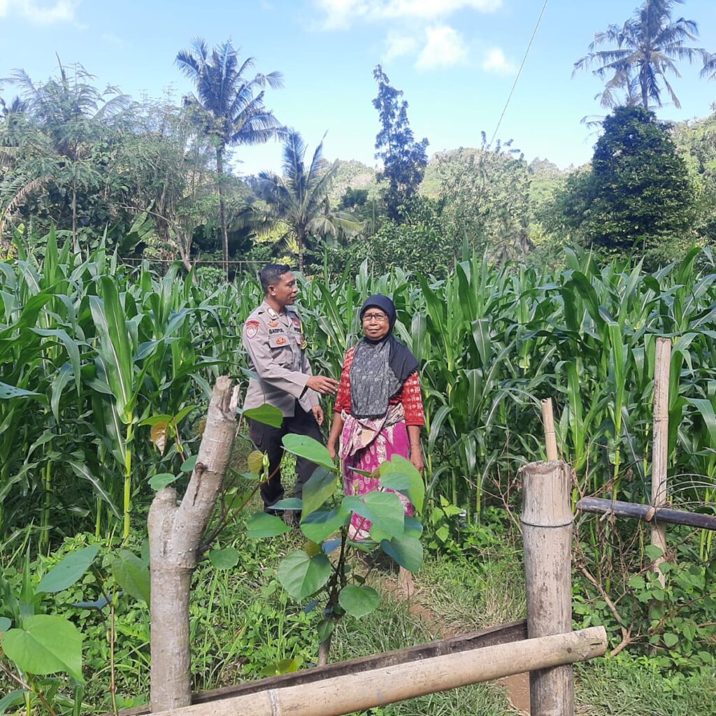 Peran Bhabinkamtibmas Desa Sekotong Timur dalam Program Pangan Nasional