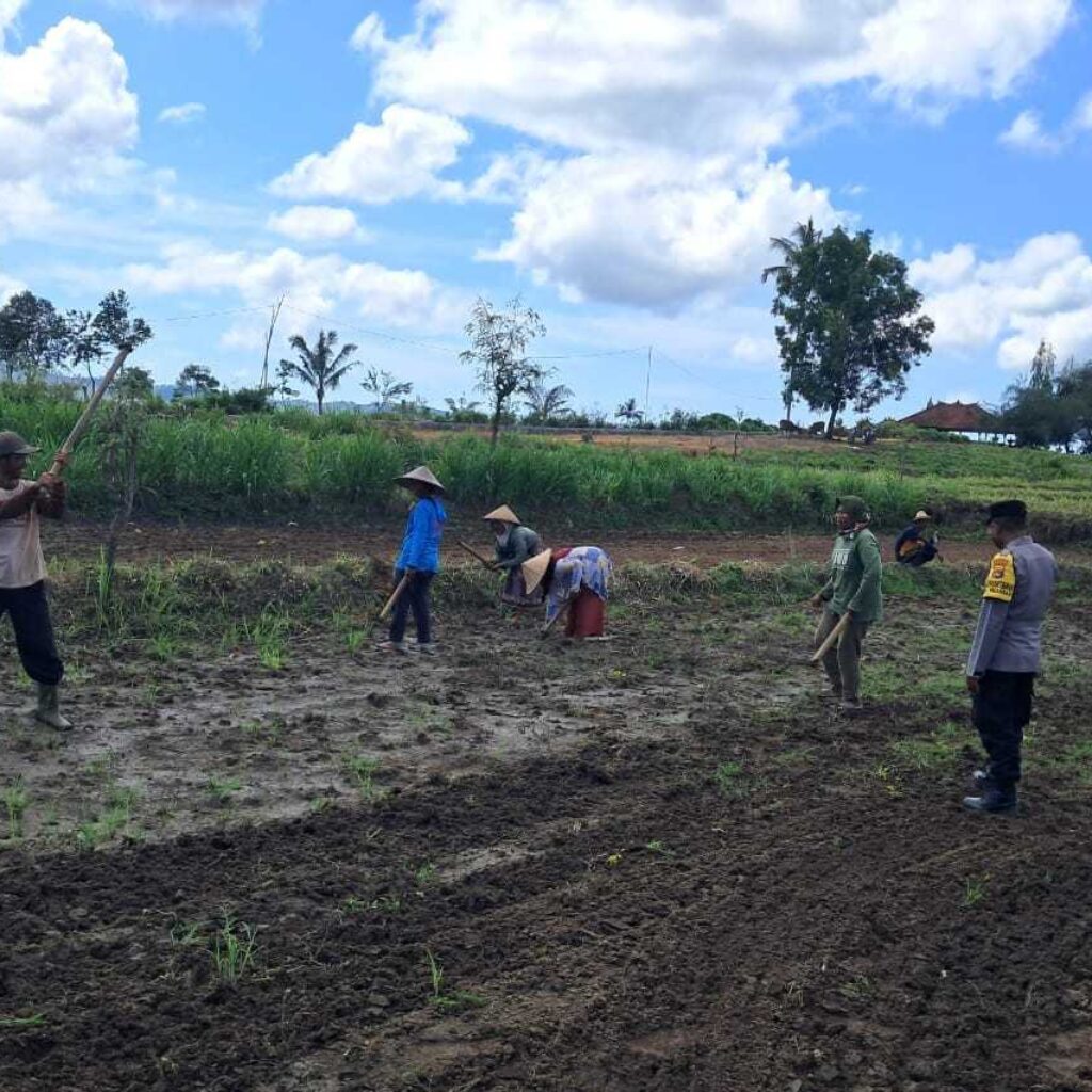 Peran Polri Dalam Swasembada Pangan di Sekotong, NTB