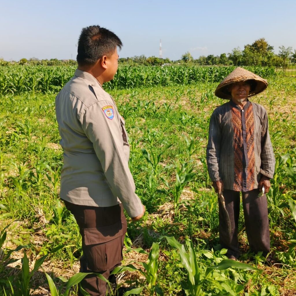 Peran Polsek Lembar dalam Ketahanan Pangan Desa