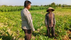 Peran Polsek Lembar dalam Ketahanan Pangan Desa