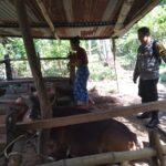 Bhabinkamtibmas Batulayar Barat Giatkan Ketahanan Pangan Warga