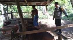 Bhabinkamtibmas Batulayar Barat Giatkan Ketahanan Pangan Warga