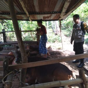 Bhabinkamtibmas Batulayar Barat Giatkan Ketahanan Pangan Warga