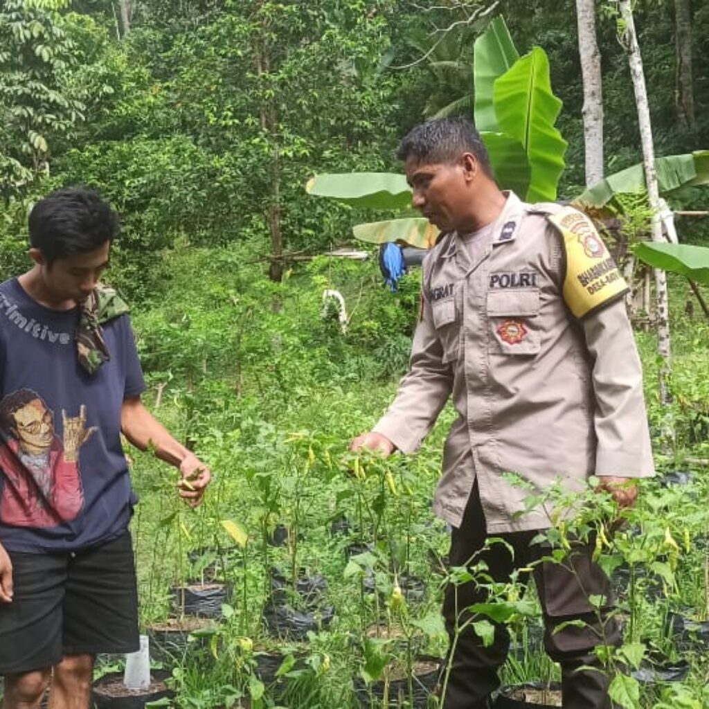 Peran Bhabinkamtibmas dalam Pekarangan Bergizi di NTB