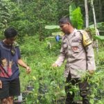Peran Bhabinkamtibmas dalam Pekarangan Bergizi di NTB