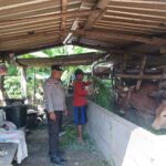 Ketahanan Pangan: Sinergi Polri dan Petani di NTB