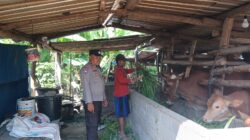 Ketahanan Pangan: Sinergi Polri dan Petani di NTB