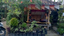 Pekarangan Jadi Lumbung Pangan: Inisiatif Polsek Kuripan di Lombok Barat