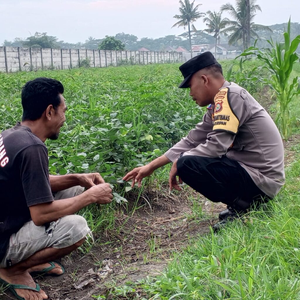 Polsek Kuripan Gandeng Warga Tongkek Wujudkan Swasembada Pangan Keluarga