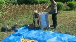 Ketahanan Pangan Dimulai dari Dusun Gelumpang Sekotong, Bhabinkamtibmas Turun Langsung