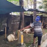Ketahanan Pangan Dimulai dari Pekarangan: Inisiatif Bhabinkamtibmas Batulayar Barat