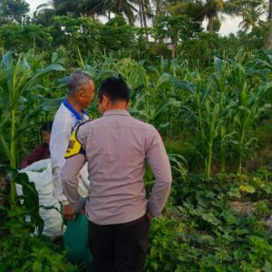 Polisi Sambangi Petani Mentimun di Lombok Barat