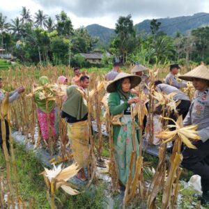 Swasembada Pangan: Kolaborasi Polsek dan Petani Mareje Timur