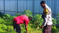 Bhabinkamtibmas Senteluk Edukasi Warga Manfaatkan Pekarangan