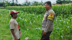 Bhabinkamtibmas Lembar Galakkan Swasembada Pangan di NTB