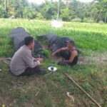 Bhabinkamtibmas Lembar Dampingi Petani Jagung dan Cabai