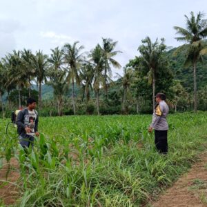 Aparat Dampingi Petani: Edukasi dan Motivasi di Desa Giri Tembesi
