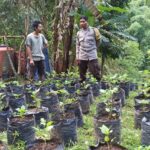 Dukung Swasembada Pangan, Bhabinkamtibmas Desa Batulayar Turun ke Lapangan