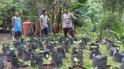 Sinergi Polri dan Warga Batulayar untuk Pekarangan Bergizi