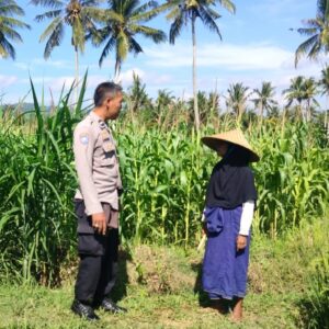 Polisi Sambangi Petani Jagung Eyat Mayang, Bangun Ketahanan Pangan Lokal