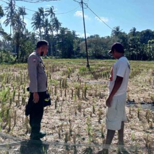 Bhabinkamtibmas Kuripan Galakkan Ketahanan Pangan Rumah Tangga