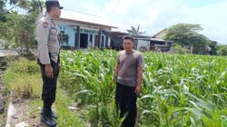 Sinergi Polri dan Petani di Labuapi: Wujudkan Desa Tangguh Pangan dan Aman
