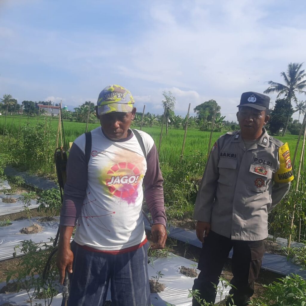 Bhabinkamtibmas Montong Are Dorong Swasembada Pangan di Kediri Lombok Barat